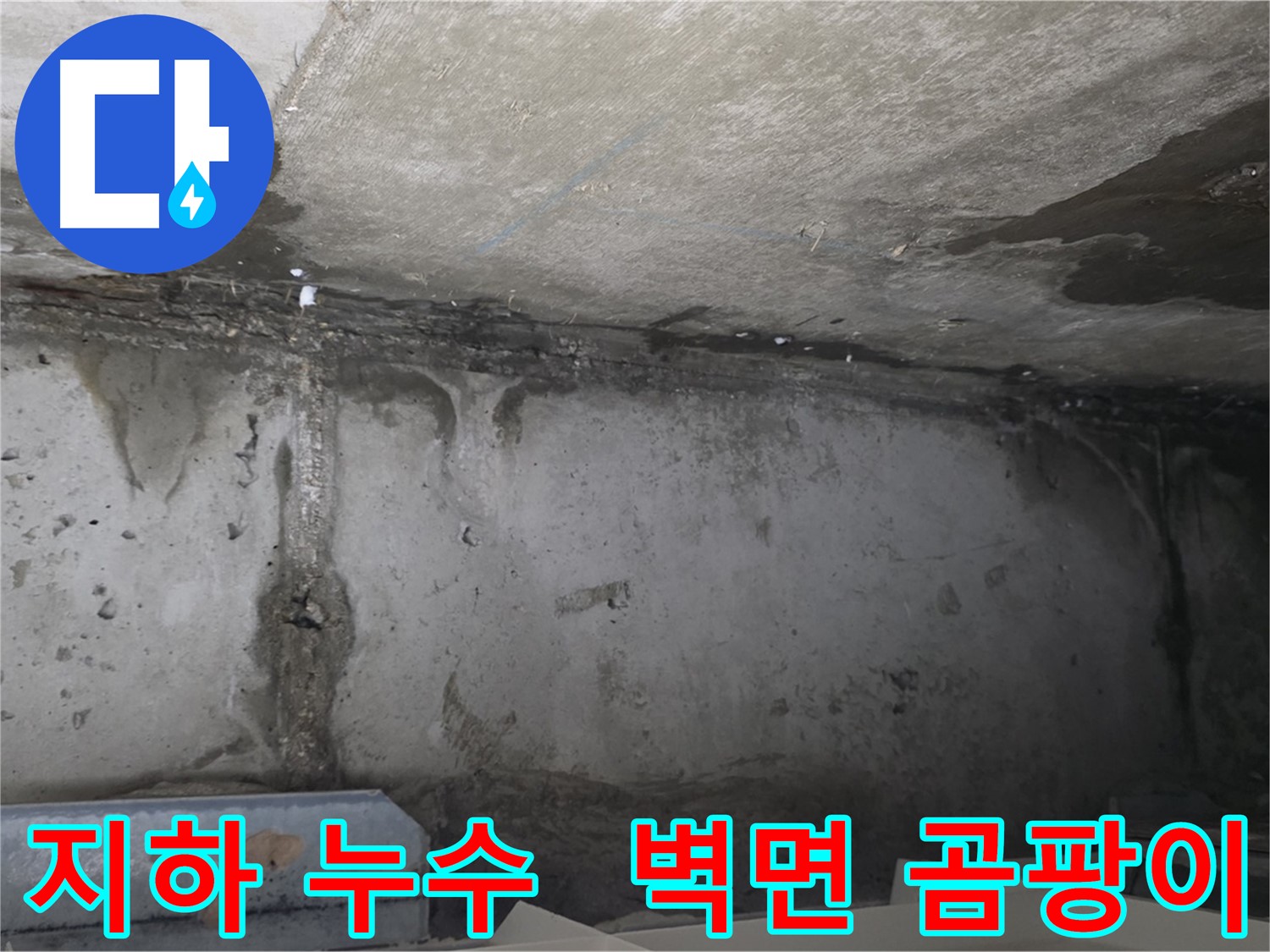 남양주 오남 건물 지하 누수 - 벽면 전체 곰팡이