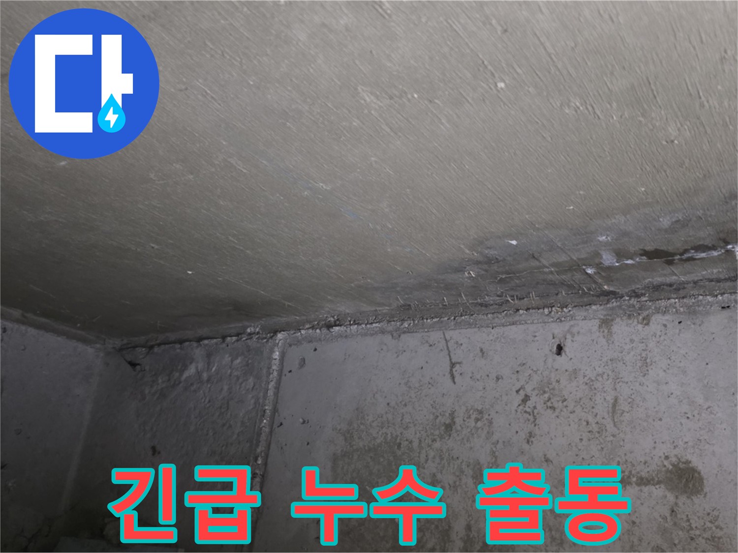 남양주 오남 누수 긴급 출동 - 벽 곰팡이 문제 해결