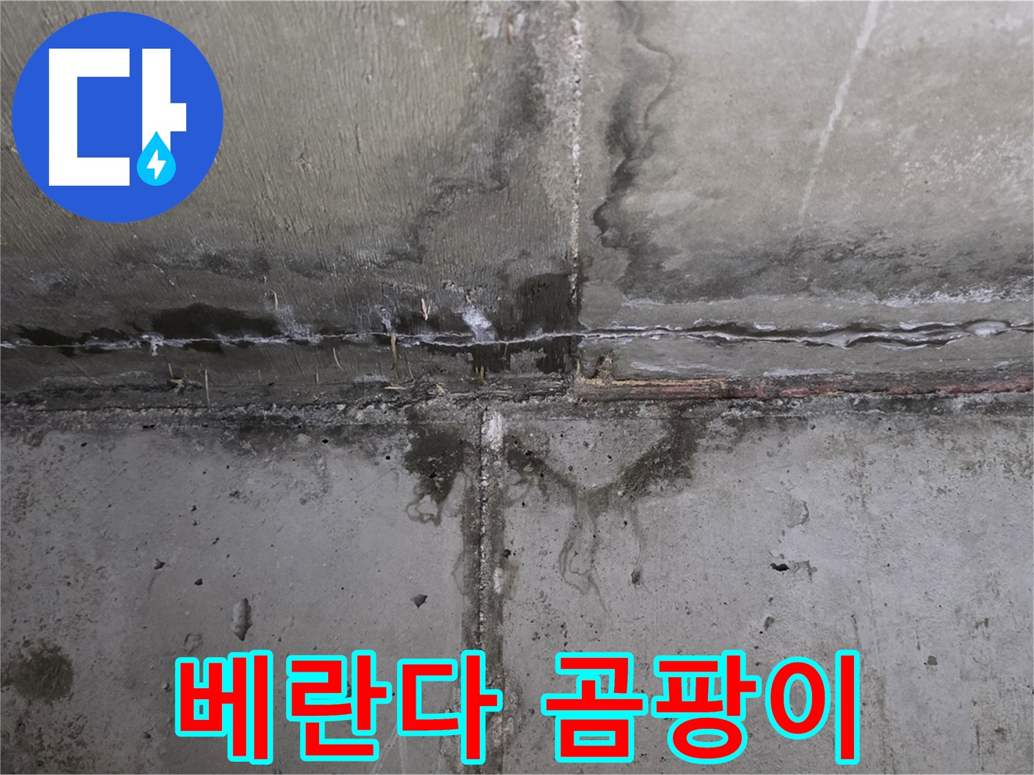 남양주 오남 두산아파트 베란다 누수 - 곰팡이 발생 주의