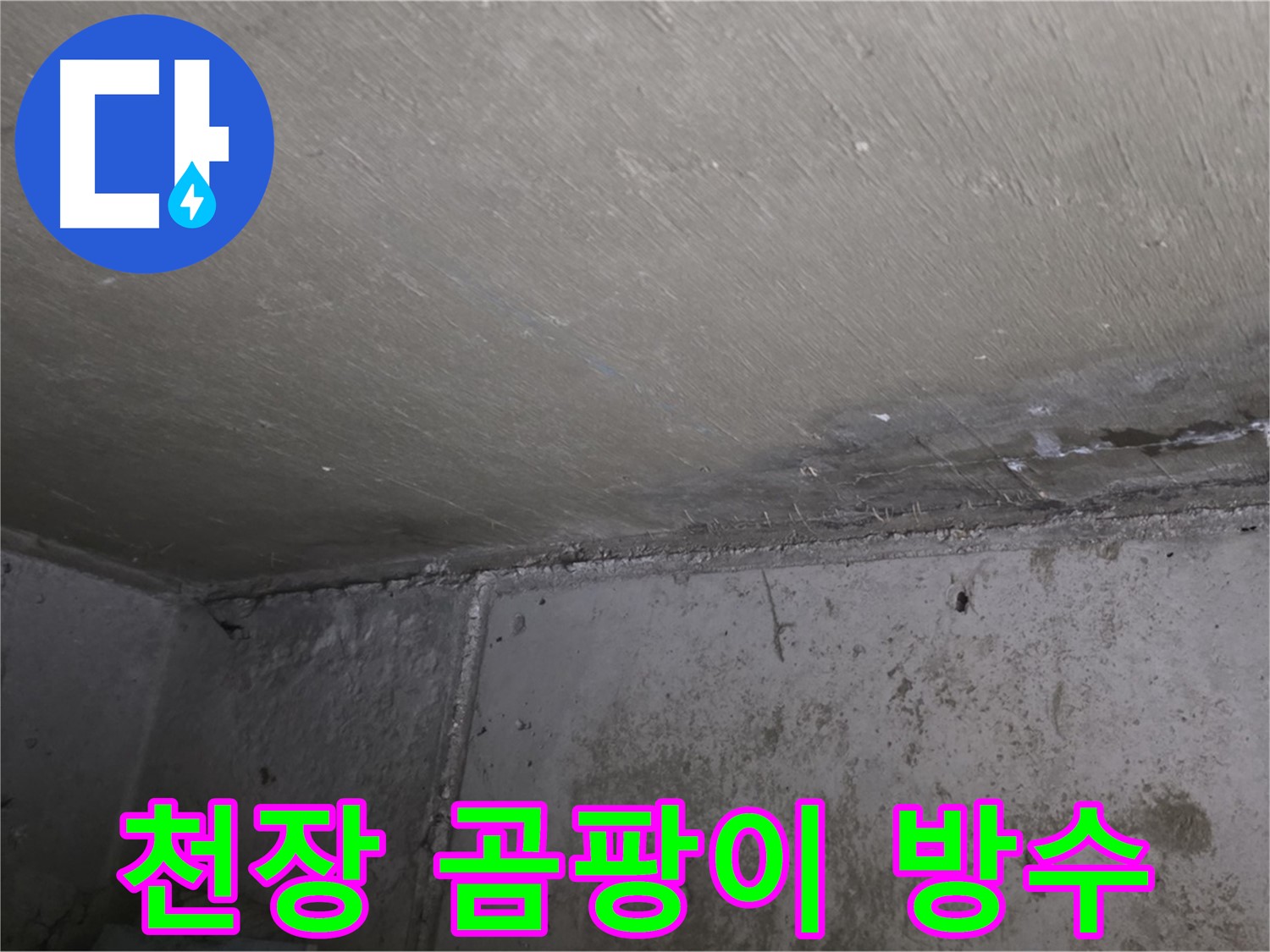 남양주 오남 두산아파트 천장 곰팡이 - 건강 위협