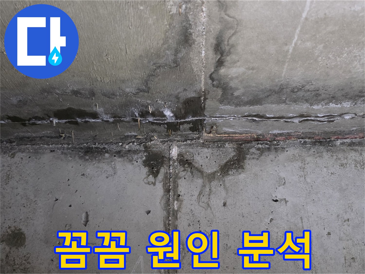 남양주 오남 두산아파트 콘크리트 벽 균열 누수 - 꼼꼼하게 누수 원인 분석