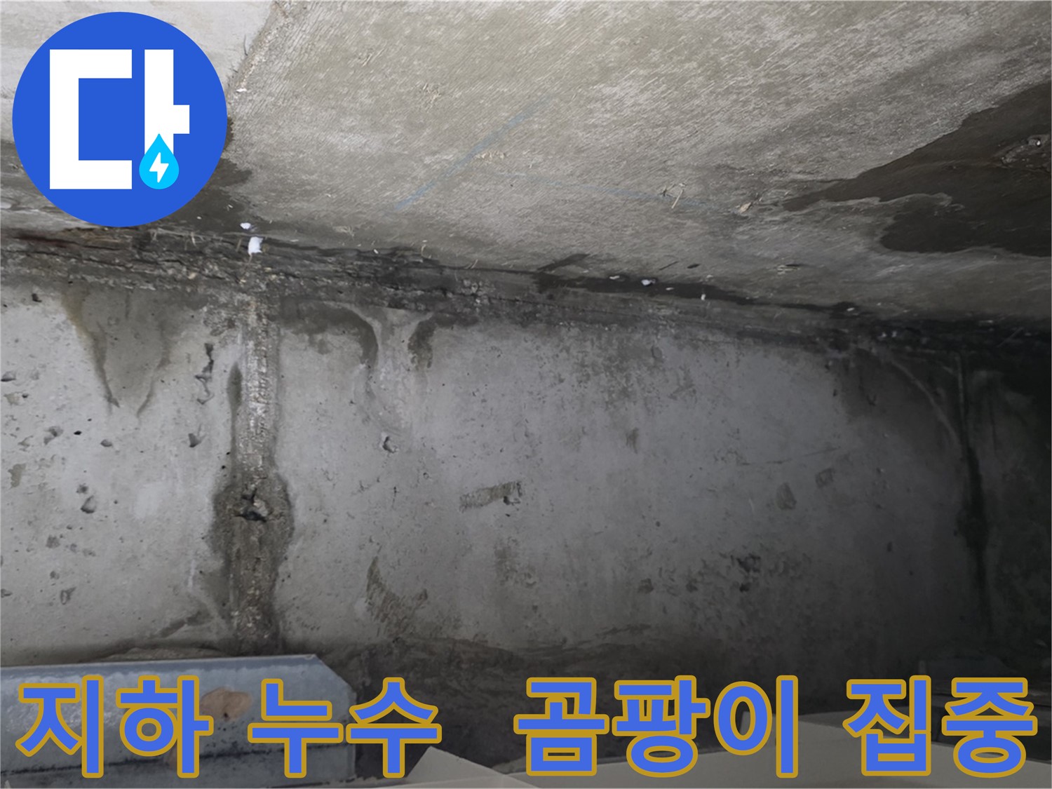 남양주 오남리 두산아파트 지하 누수 - 곰팡이 집중 발생