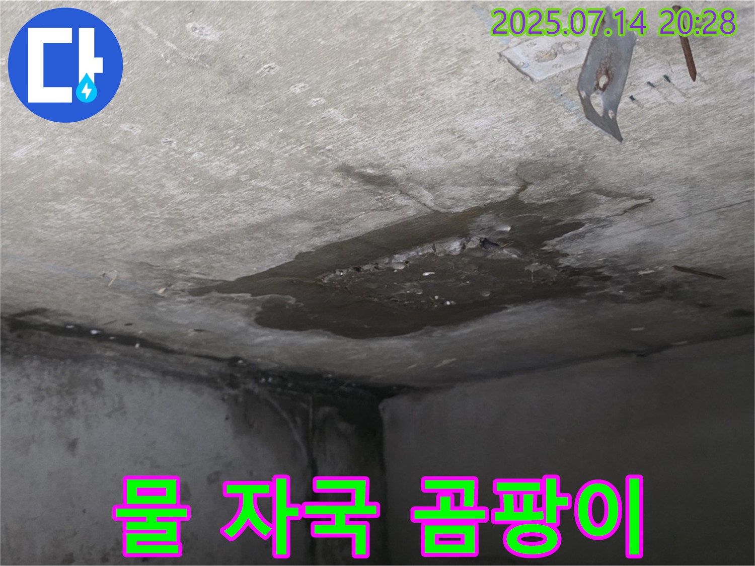 오남 양지 두산아파트 누수 - 콘크리트 천장 누수로 인한 물 자국과 곰팡이 발생 가능성