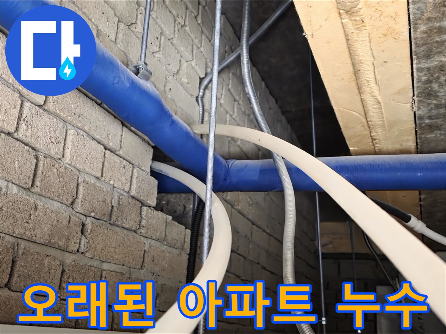 다산지금로 누수 - 오래된 아파트 누수, 꼼꼼한 점검으로 해결