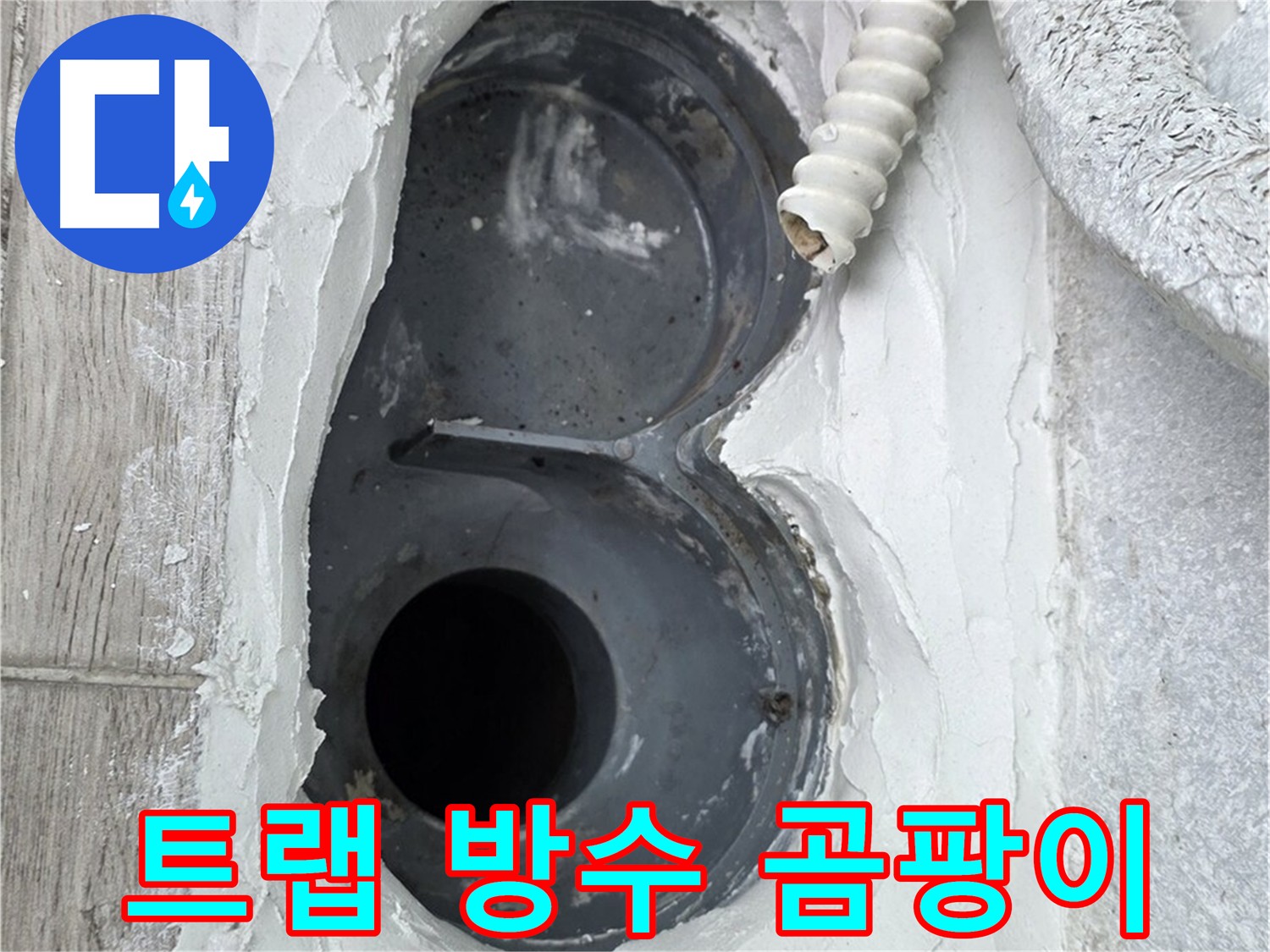 중계동 욕실 트랩 누수 곰팡이 방지 위생적인 욕실 환경