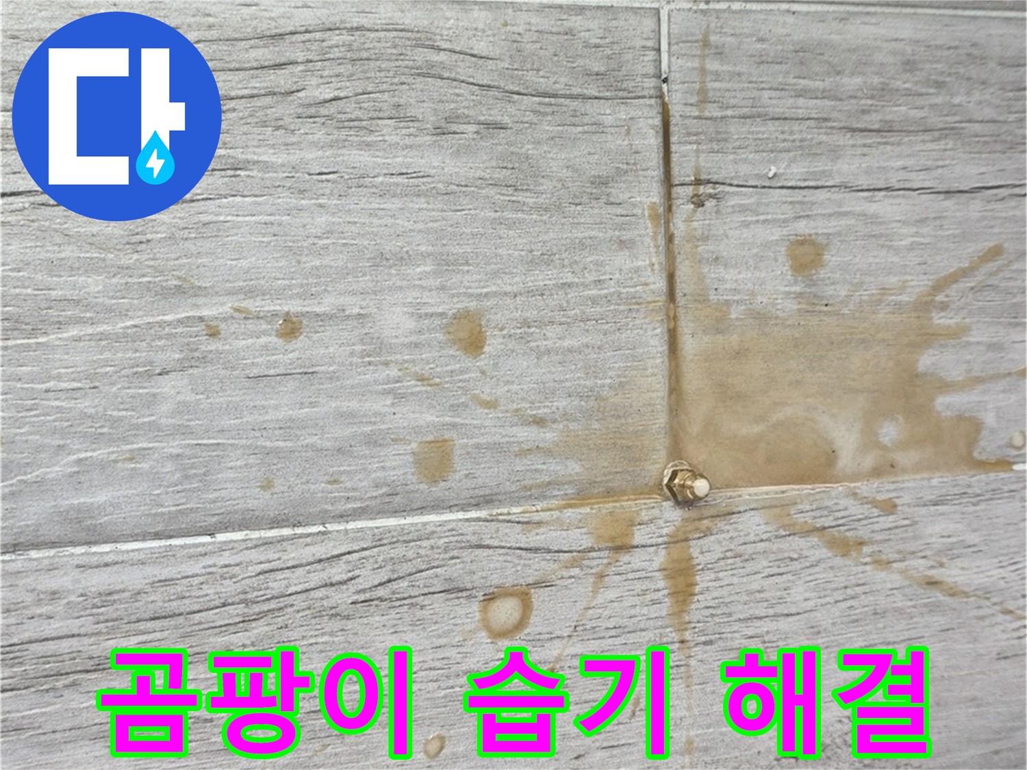마루 곰팡이 - 습기 제거와 친환경 인젝션 방수로 쾌적하게