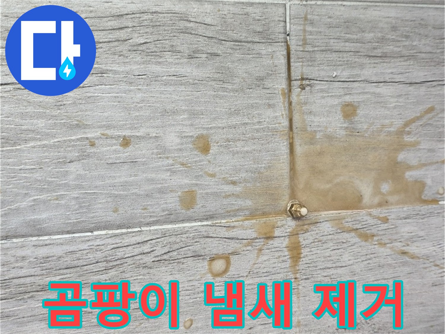 마루 틈새 곰팡이 냄새 - 친환경 인젝션 방수로 싹 잡아드립니다