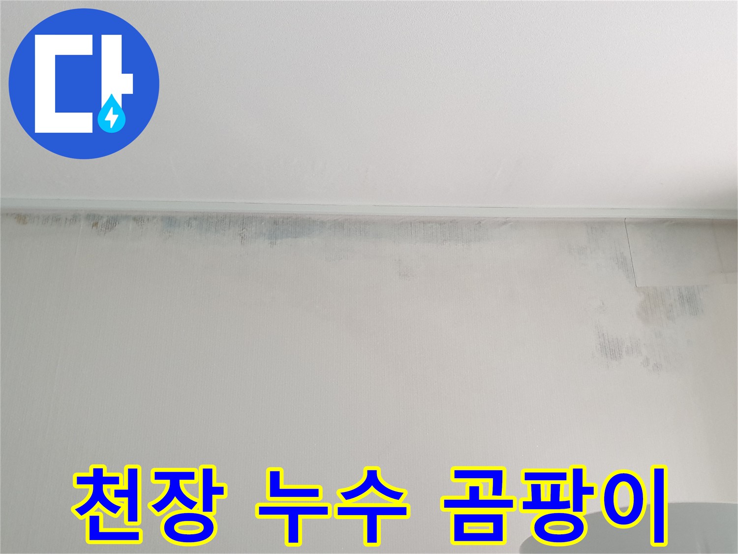 중계동 아파트 천장 곰팡이 - 누수 흔적으로 인한 문제
