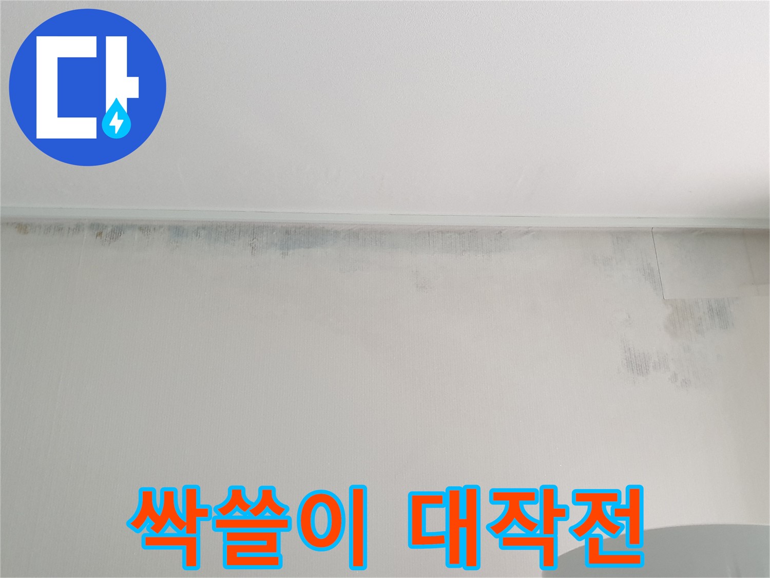 중계동 청구3차 곰팡이 - 곰팡이 싹쓸이 대작전