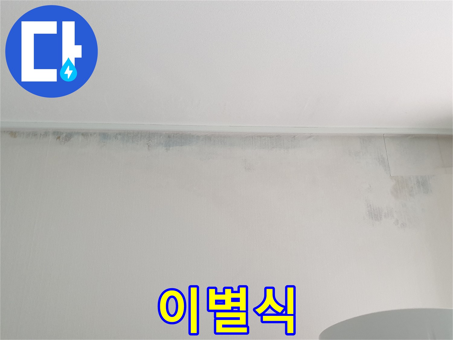 중계동 청구3차 곰팡이 - 이별식
