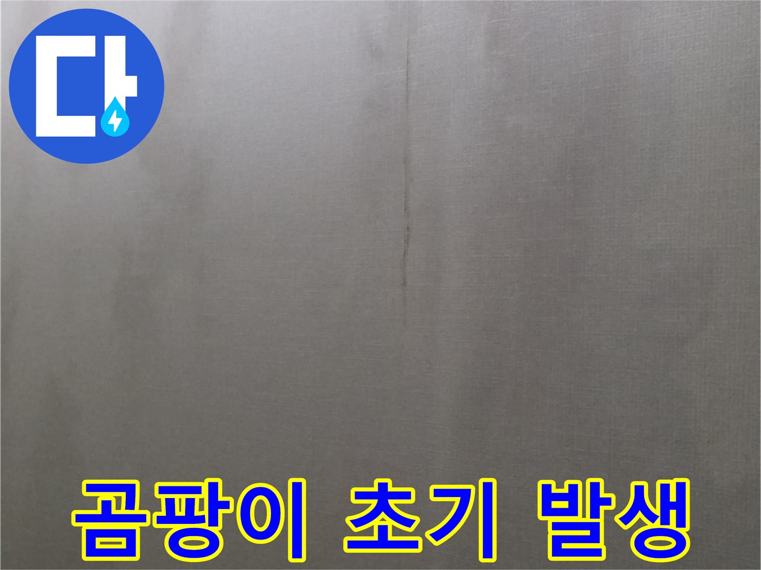 강북구 미아동 다솜빌라 누수 - 천장 누수, 곰팡이 초기 발생 확인