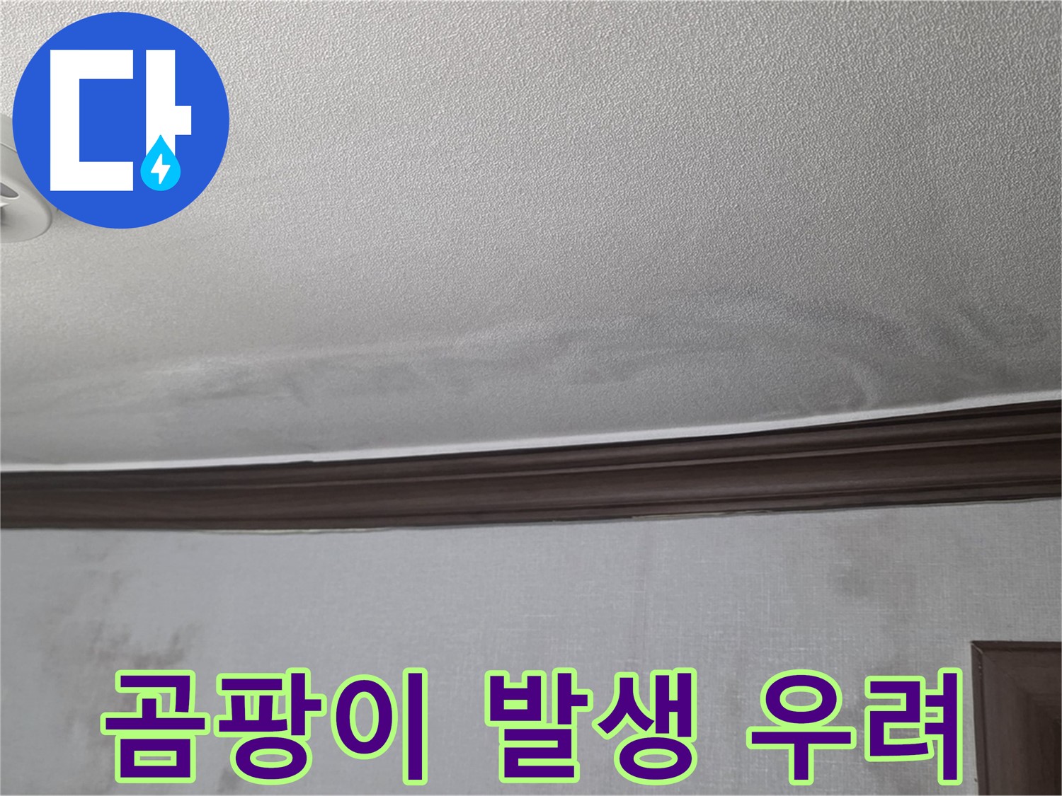 강북구 미아동 빌라 천장 누수 - 곰팡이 발생 및 확산 우려, 건강에 해로울 수 있습니다