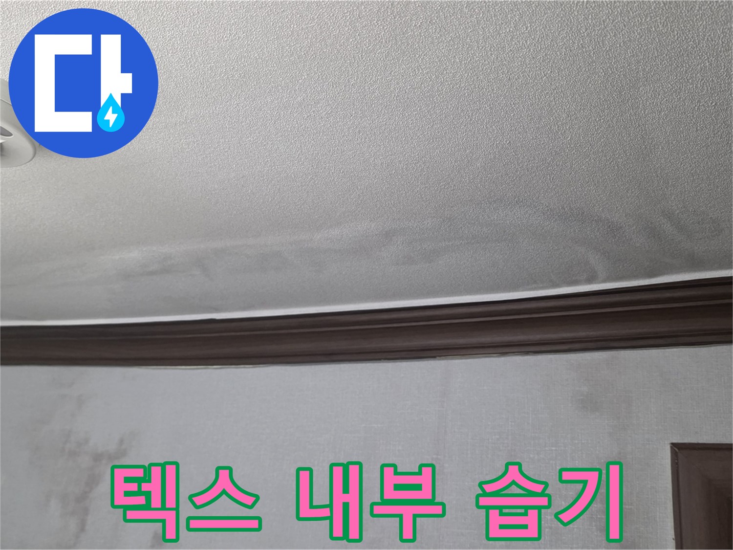 미아동 빌라 천장 누수 - 텍스 내부 습도 측정으로 누수 정도 파악