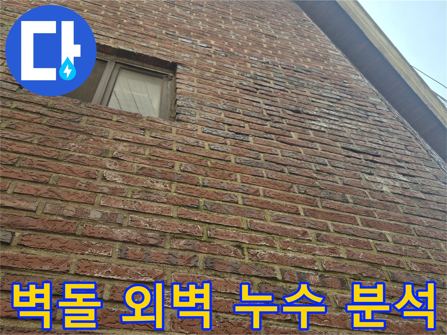 합정동 현대빌라 - 벽돌 외벽 누수 원인 꼼꼼히 분석 중