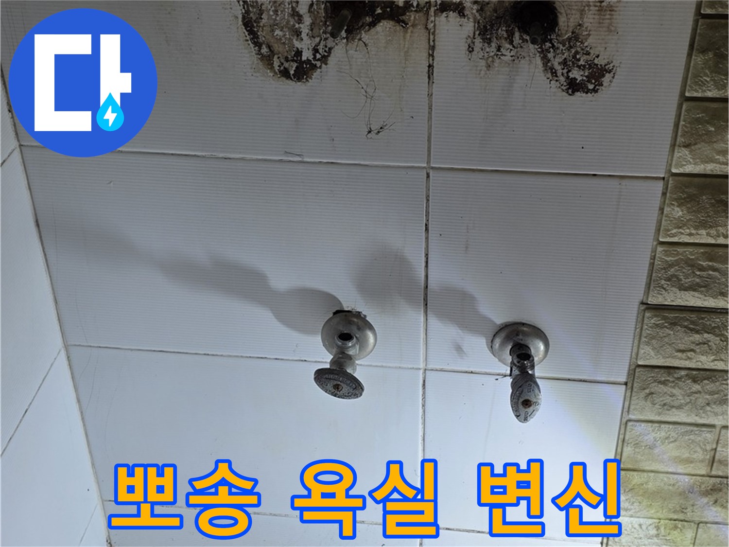 노원구 상계동 곰팡이 심한 욕실 - 누수 해결 후 뽀송뽀송하게 변신시켜 드립니다.