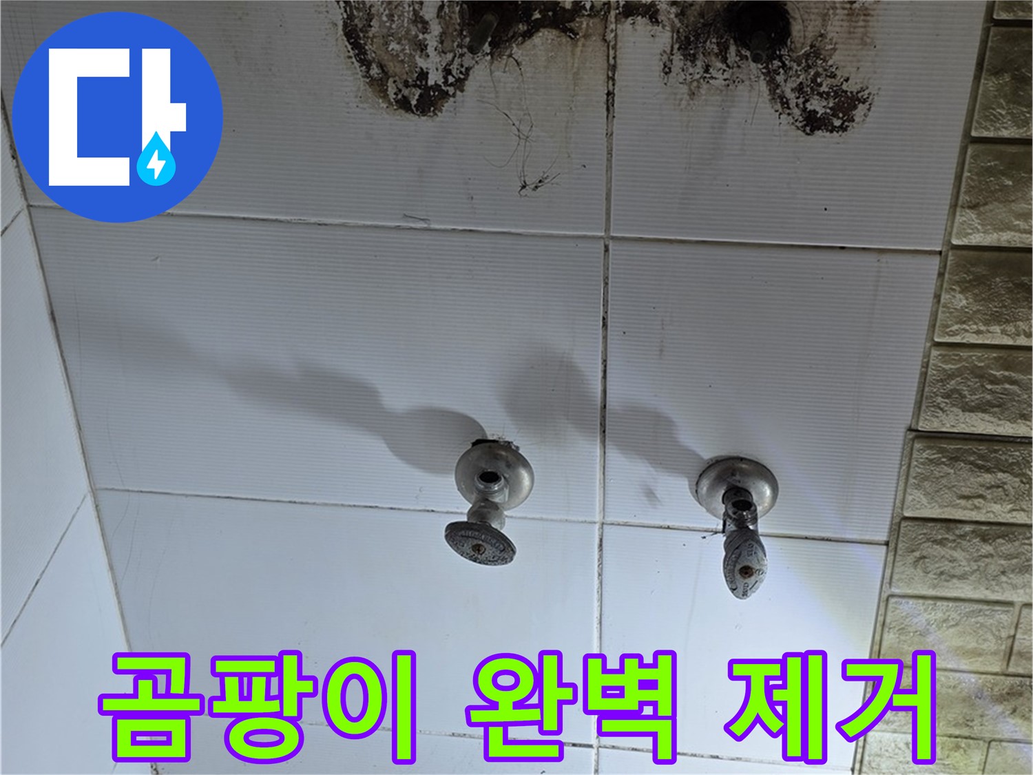 노원구 상계동 곰팡이 핀 욕실 - 누수 원인을 찾고 곰팡이까지 완벽하게 제거해 드립니다.