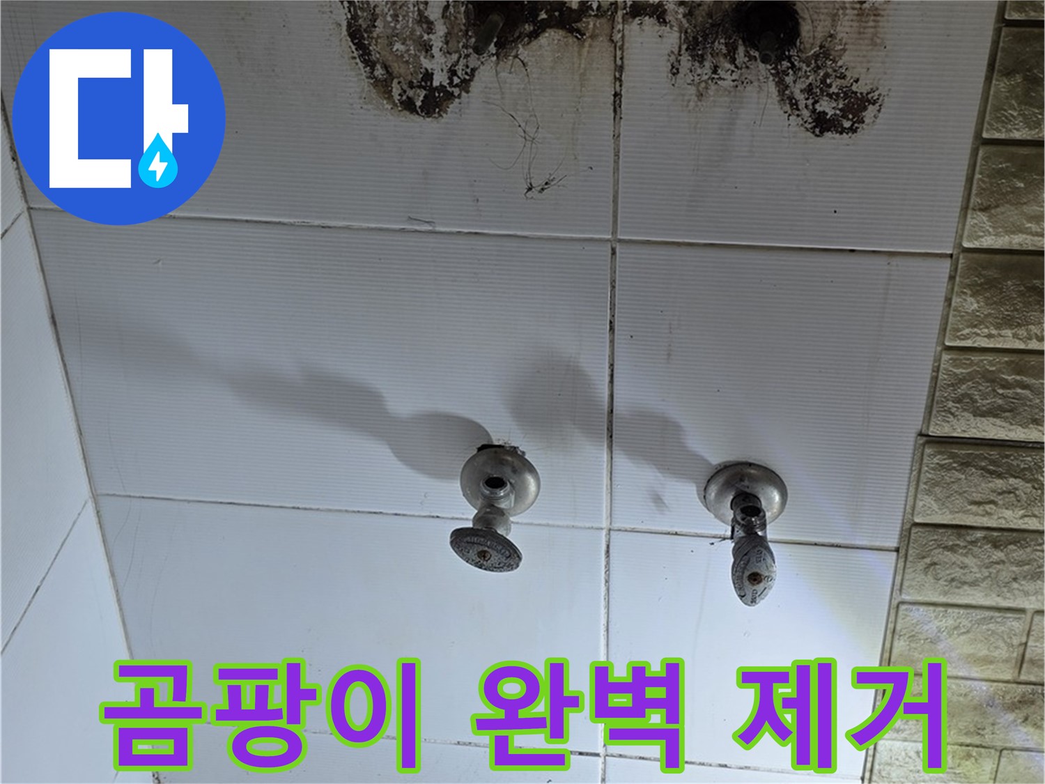 노원구 상계동 곰팡이 핀 욕실 - 누수 원인을 찾고 곰팡이까지 완벽하게 제거해 드립니다.