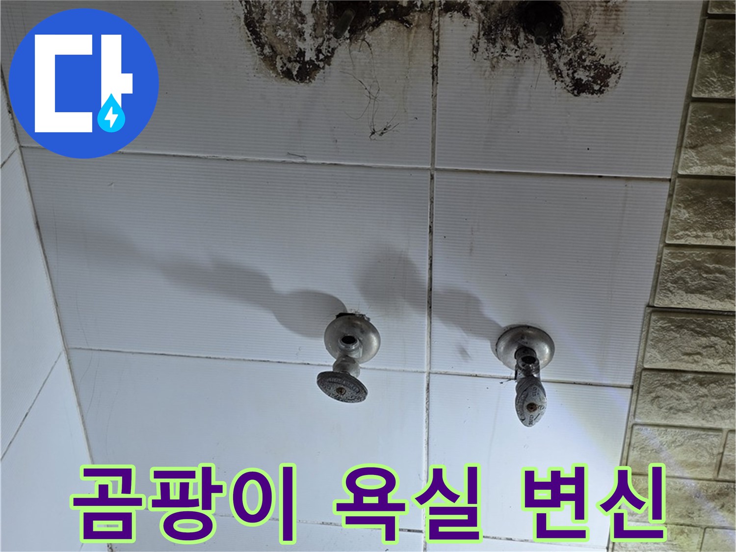 상계동 곰팡이 가득한 욕실 - 누수 문제를 해결하고 깨끗하게 변신시켜 드립니다.
