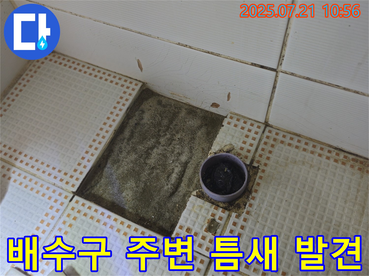 상계동 누수 - 욕실 배수구 주변 타일 제거 후 배수구 주변 틈새 발견