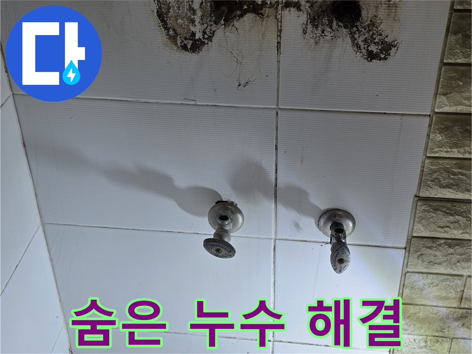상계동 빌라 곰팡이 핀 욕실 - 숨겨진 누수를 찾아 완벽하게 해결하는 전문 업체를 소개합니다.