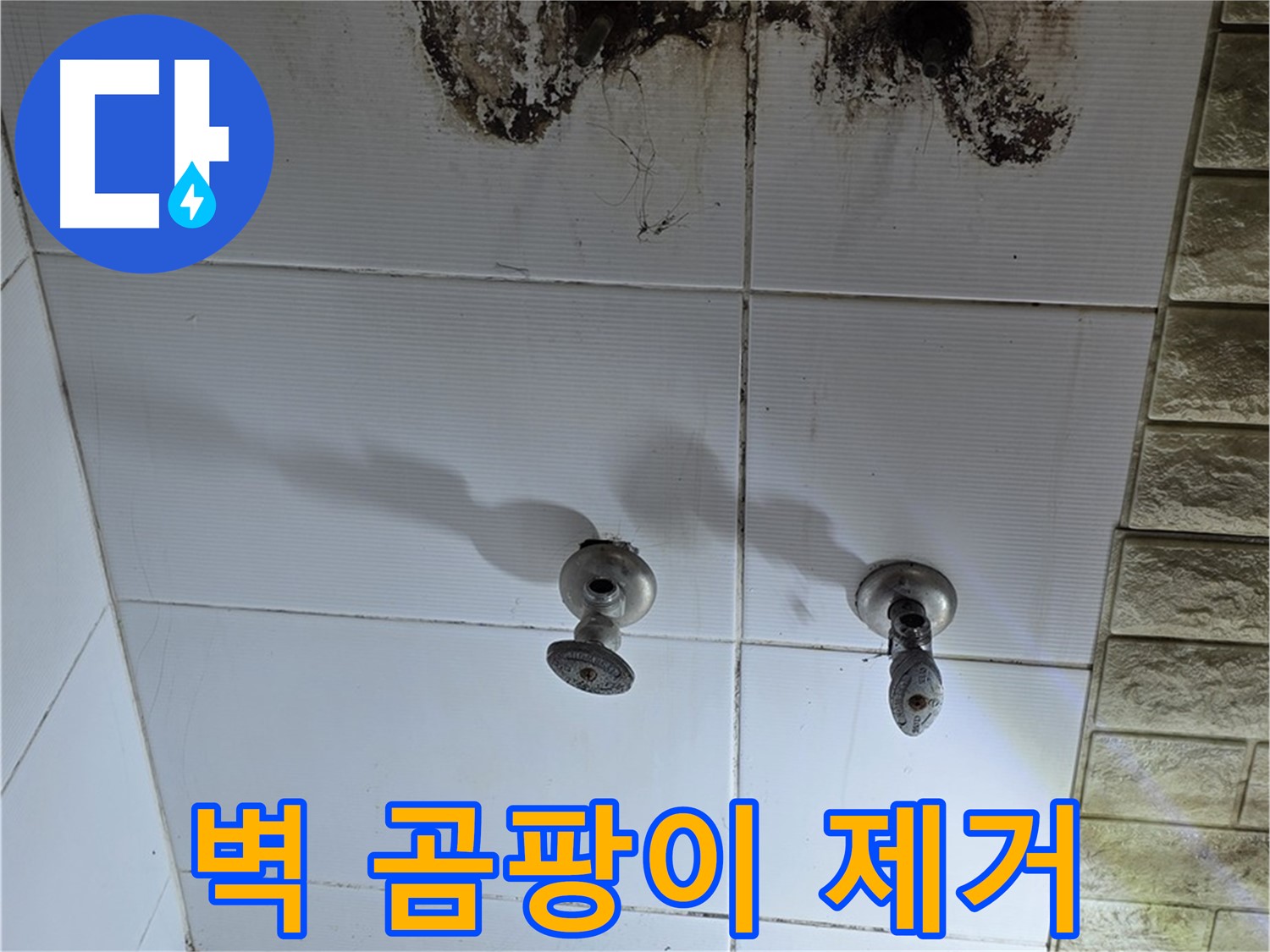 상계동 욕실 벽 곰팡이 제거 - 누수 원인을 먼저 해결해야 곰팡이 재발을 막을 수 있습니다.