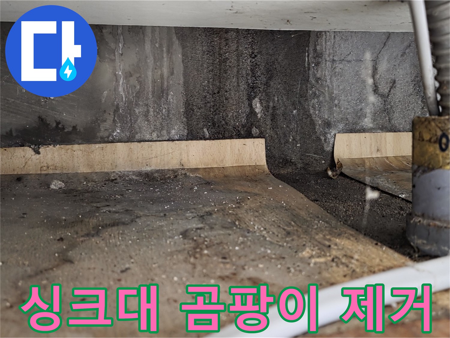 싱크대 누수 해결 - 썩은 나무 곰팡이 제거
