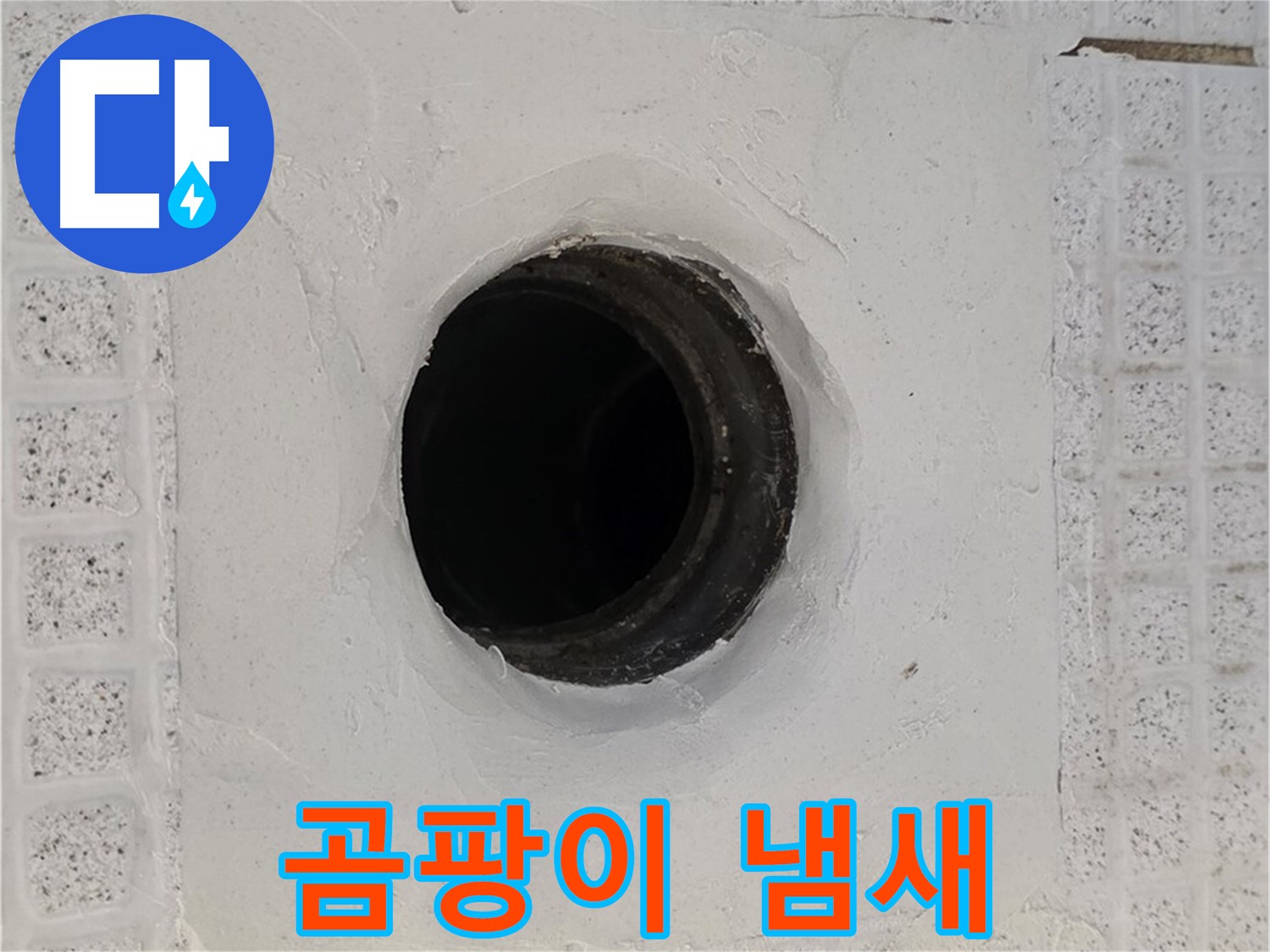과천 문원동 욕실 누수 - 배수구 주변 곰팡이 냄새, 누수 관련성 점검