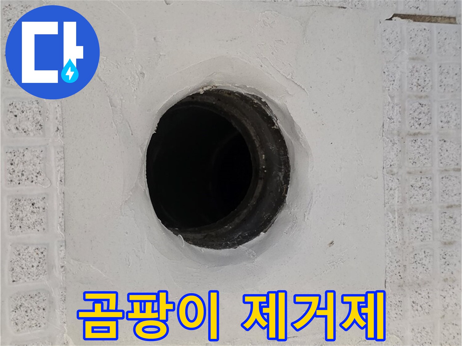 과천 문원동 욕실 누수 - 배수구 주변 곰팡이 제거제 사용, 누수 해결 여부 점검