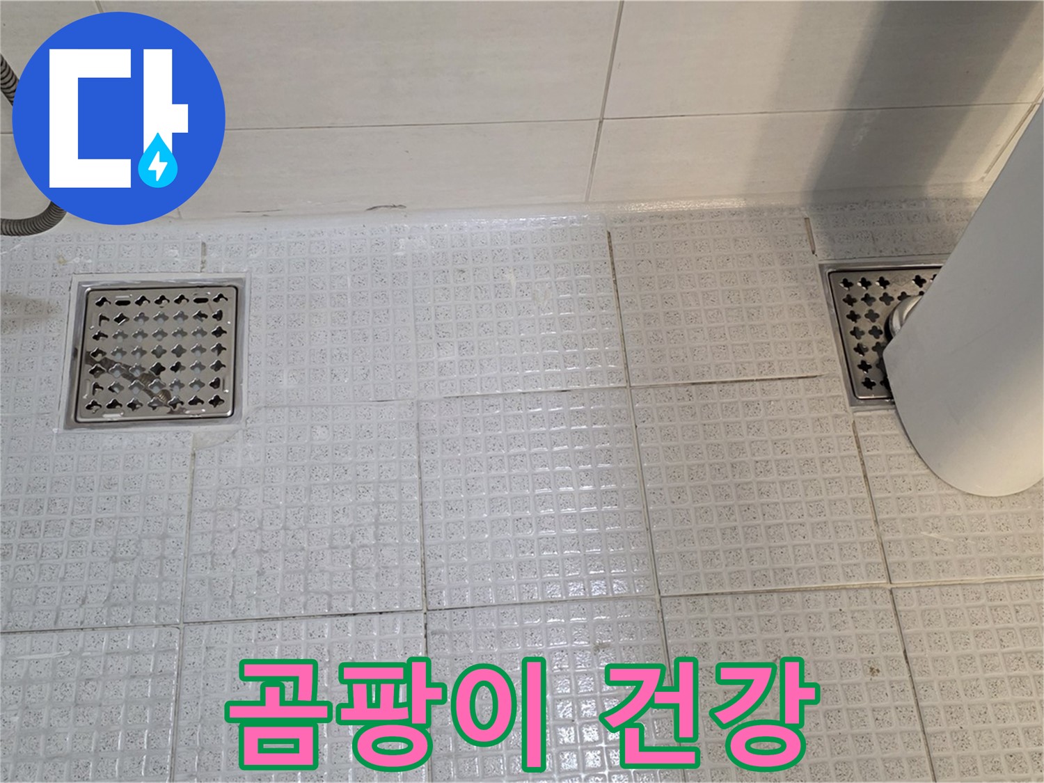 과천 문원동 욕실 - 배수구 주변 곰팡이는 건강에 해로울 수 있습니다