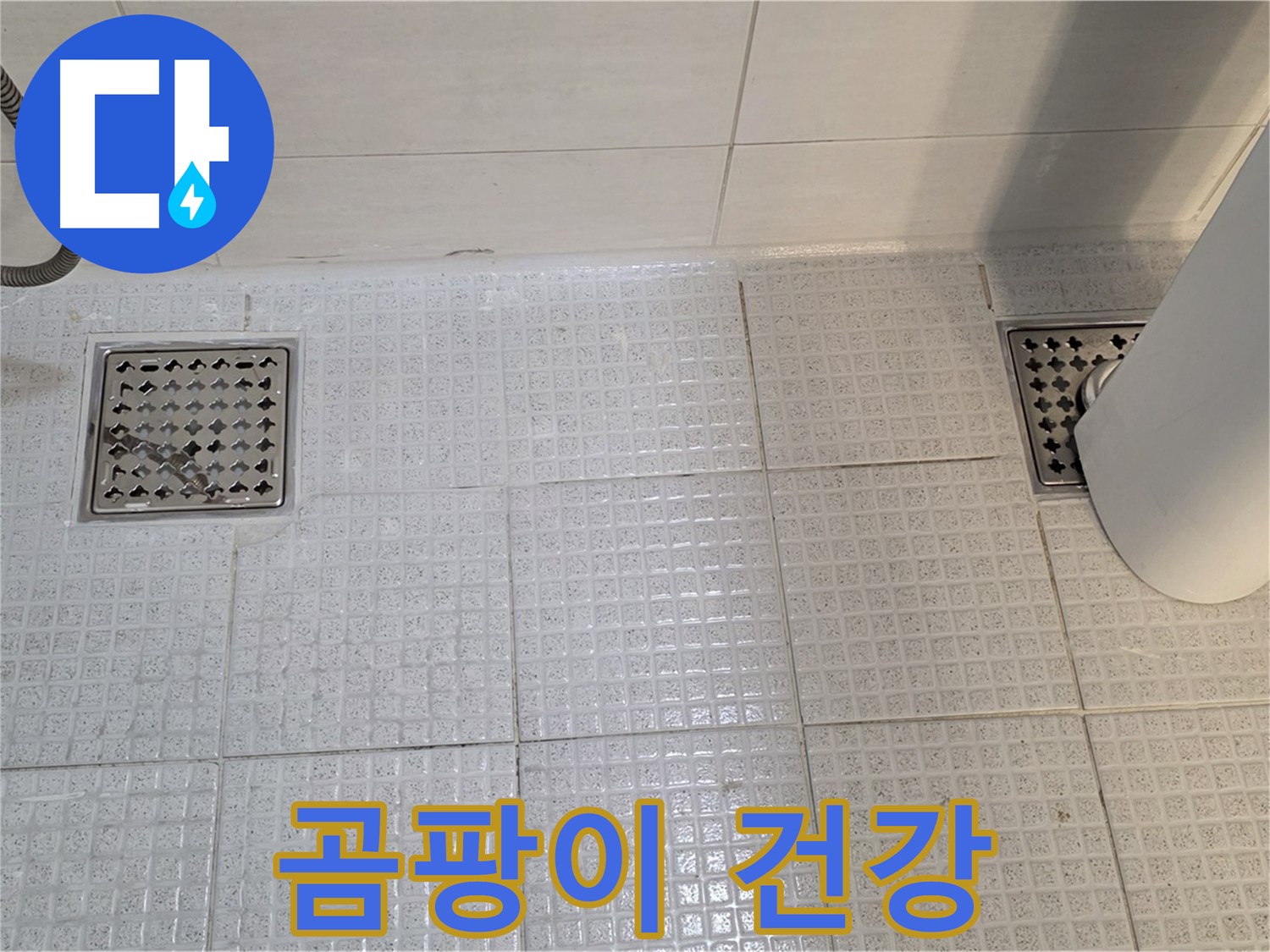 과천 문원동 욕실 - 배수구 주변 곰팡이는 건강에 해로울 수 있습니다
