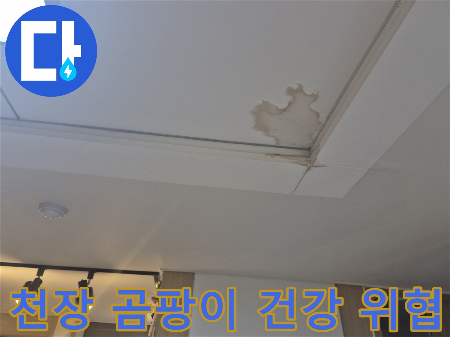 고양시 일산서구 천장 누수 - 곰팡이 발생 - 건강을 위협하는 누수