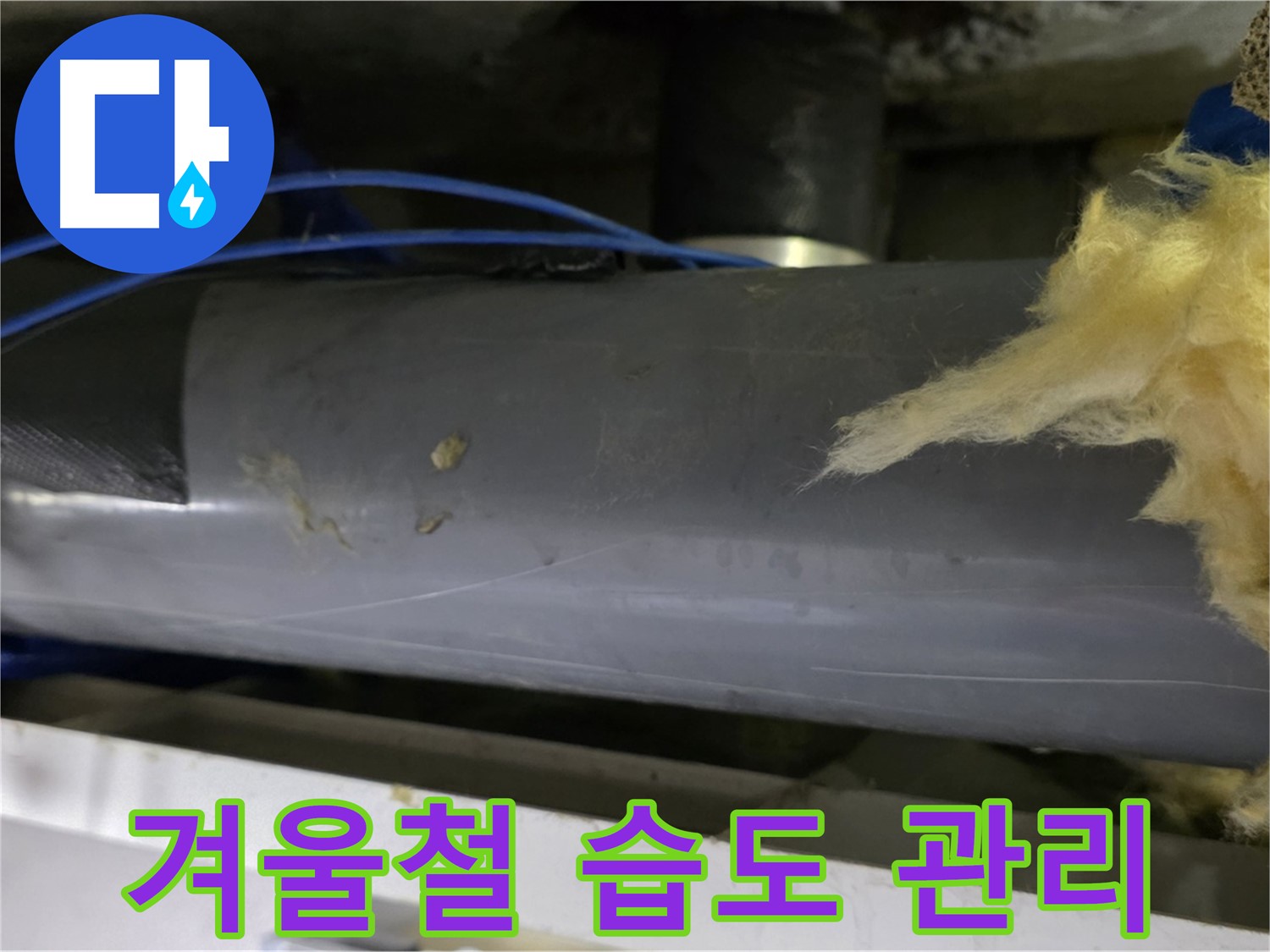 겨울철 습도 관리 - 가습기 사용 및 환기 조절
