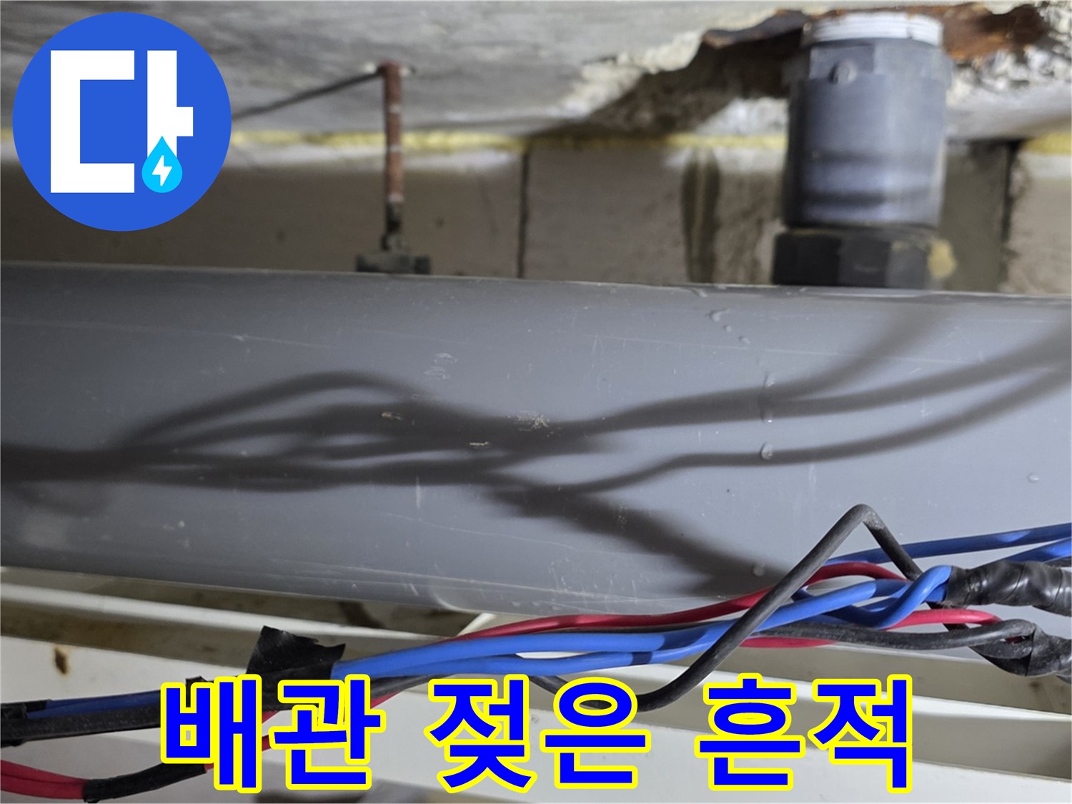 노원구 중계동 라이프청구신동아 아파트 배관 젖은 흔적 - 빠른 조치 필요!