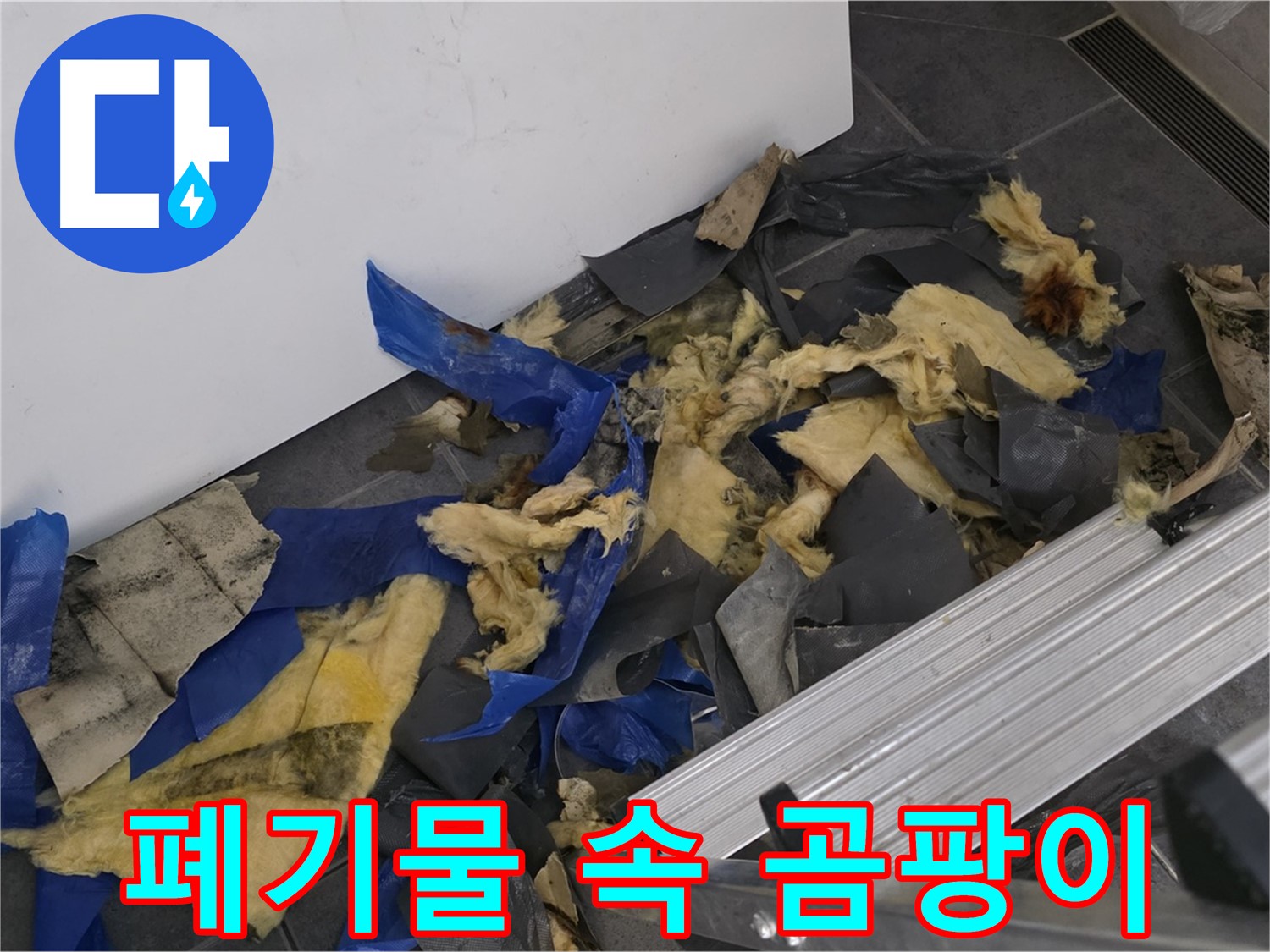 노원구 중계동 라이프청구신동아 아파트 - 젖은 폐기물 속 곰팡이 포자 위험 경고