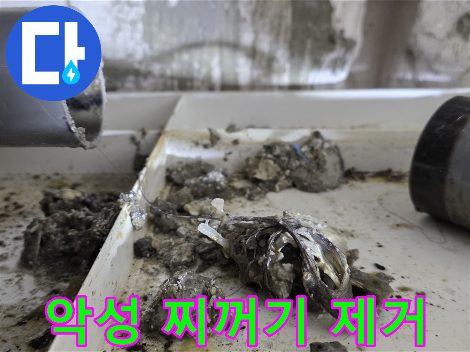 노원구 중계동 라이프청구신동아아파트 - 배관 속 악성 찌꺼기 제거 - 누수 종결