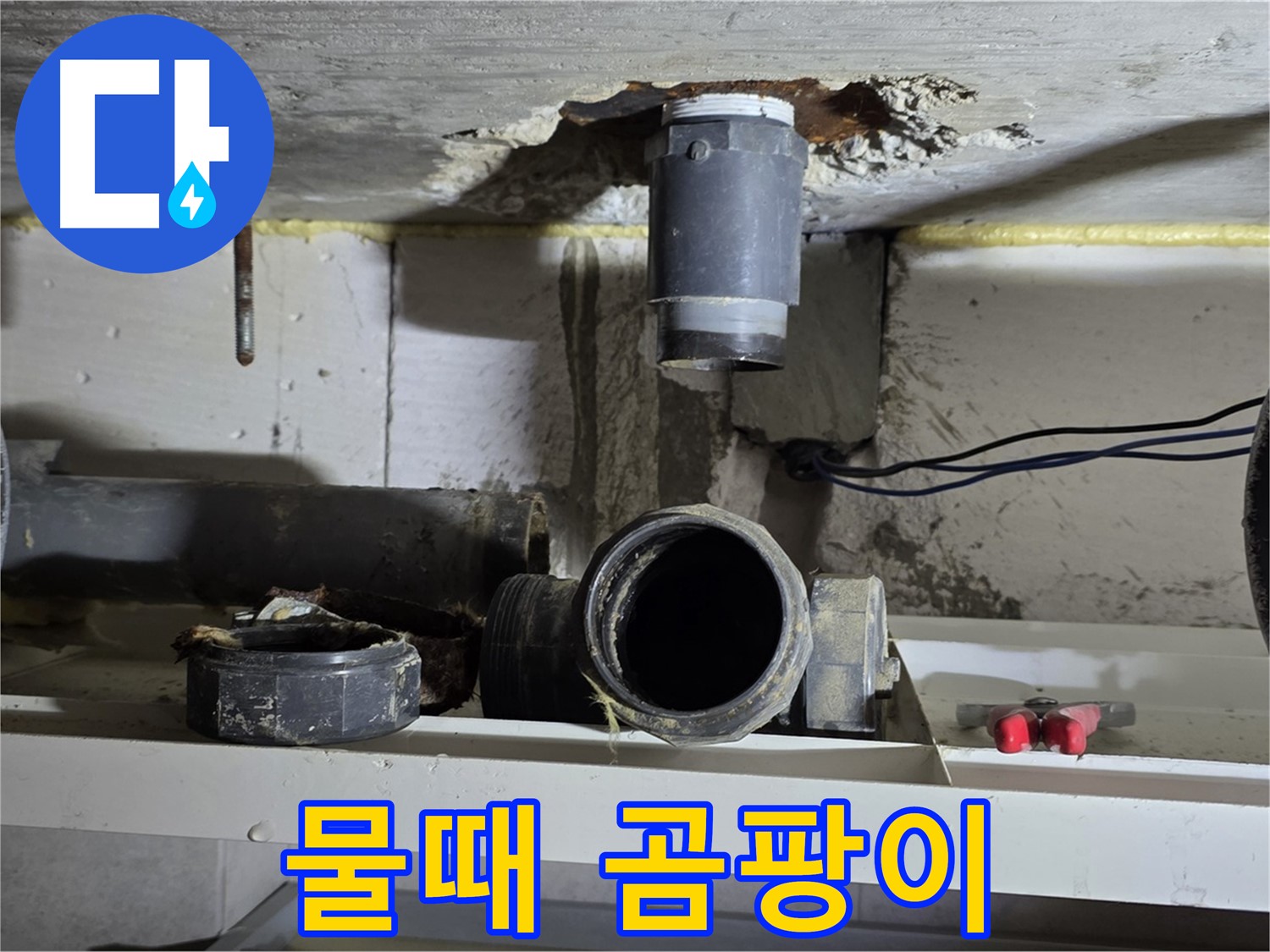 배관 주변 - 물때와 곰팡이 - 청소 필수