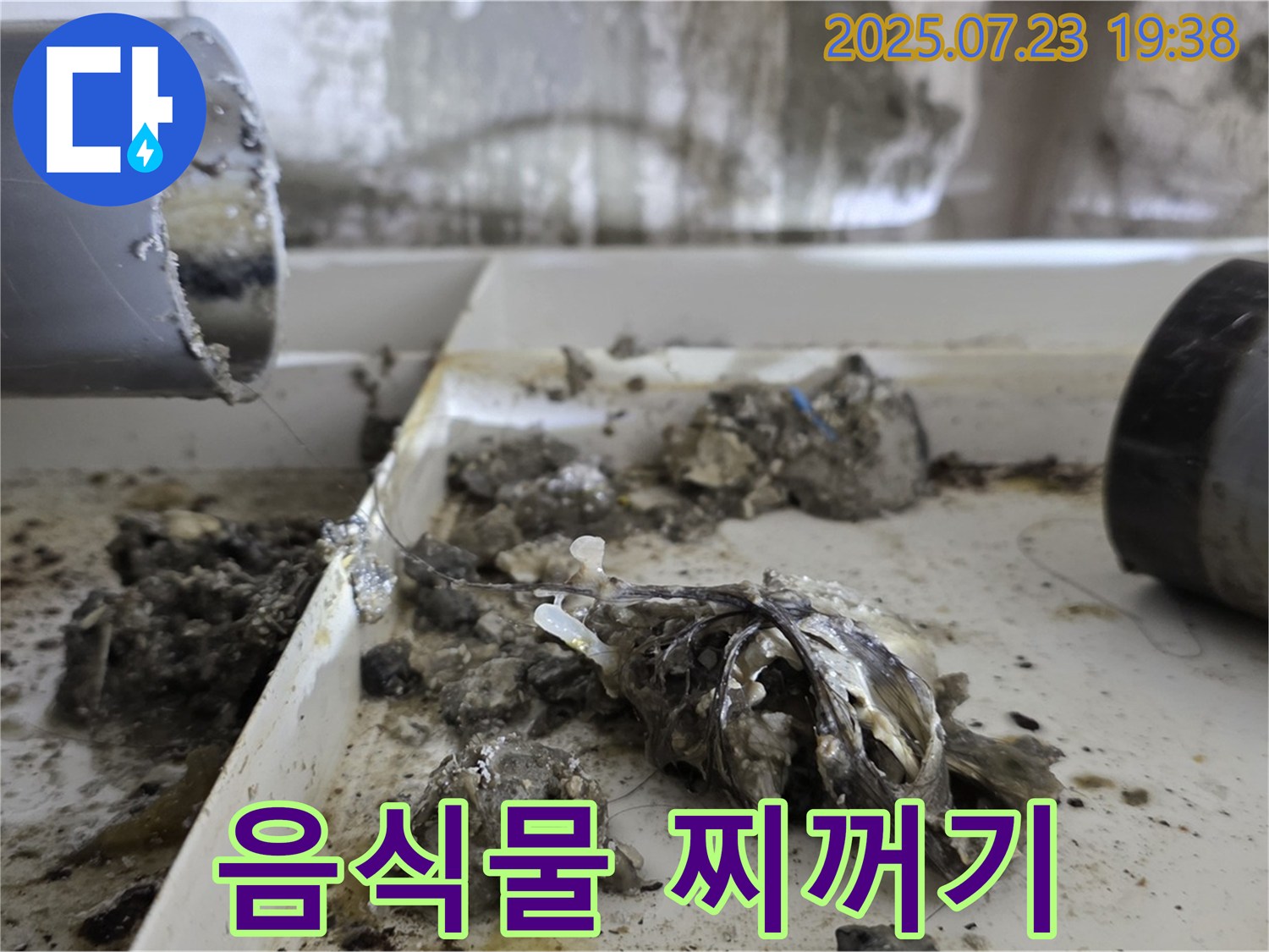 중계동 라이프청구신동아 아파트 - 배수관 속 음식물 찌꺼기, 혐오스러운 비주얼