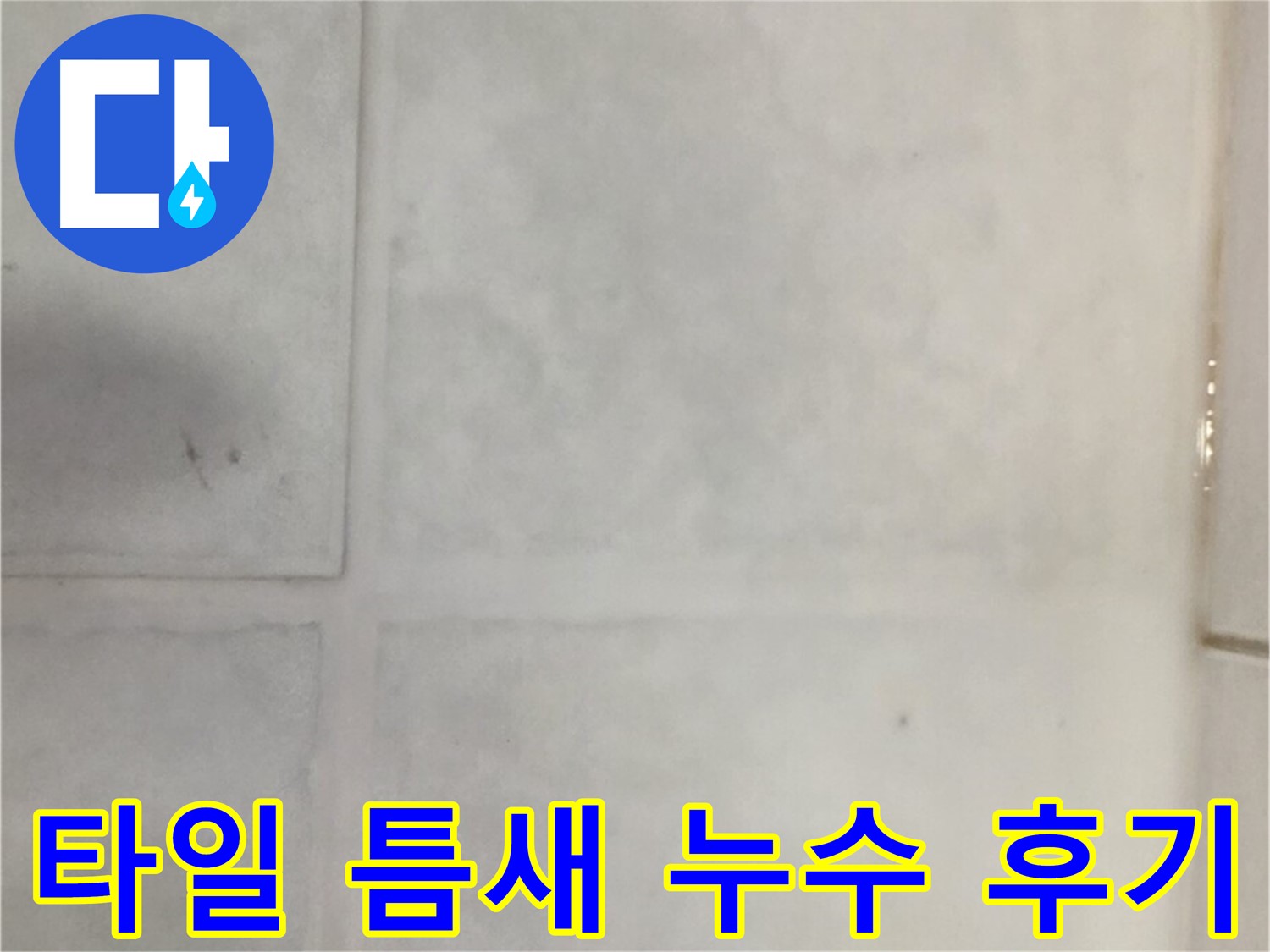 과천 누수 - 타일 틈새 누수 완벽 해결, 고객 후기 만족!
