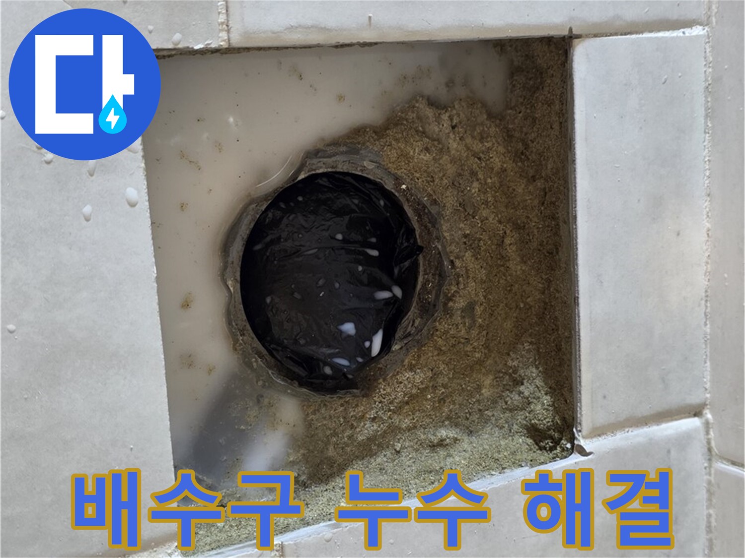 과천 문원동 욕실 배수구 주변 누수 - 젖은 타일 틈새, 숙련된 기술로 완벽 해결