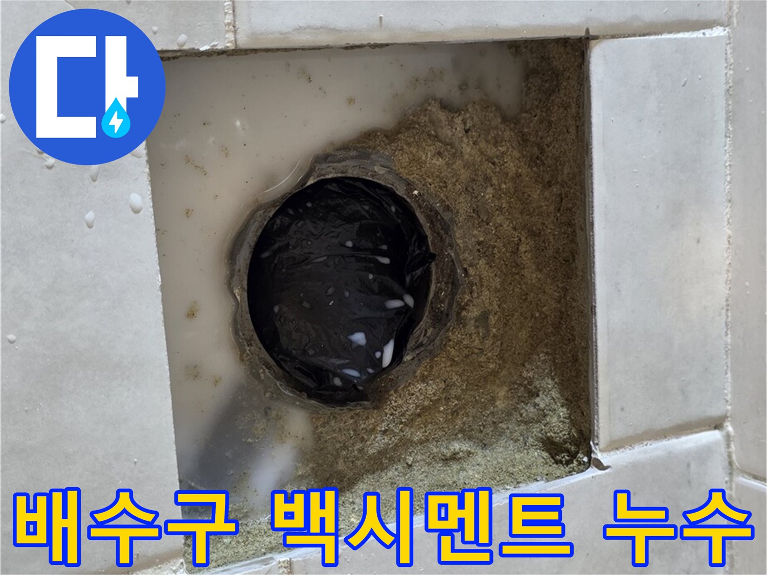 과천 문원동 욕실 배수구 주변 백시멘트 들뜸 누수 - 낡은 백시멘트와 누수 흔적, 신속한 누수 진단과 완벽한 해결