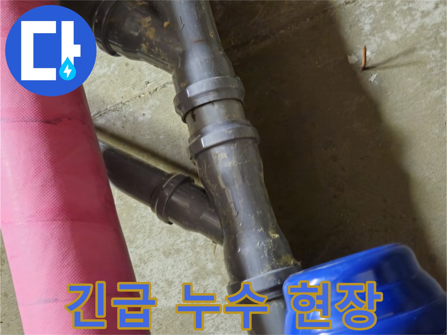 남양주 화도읍 두산아파트 긴급 누수 - 신속한 방문으로 누수 피해 최소화