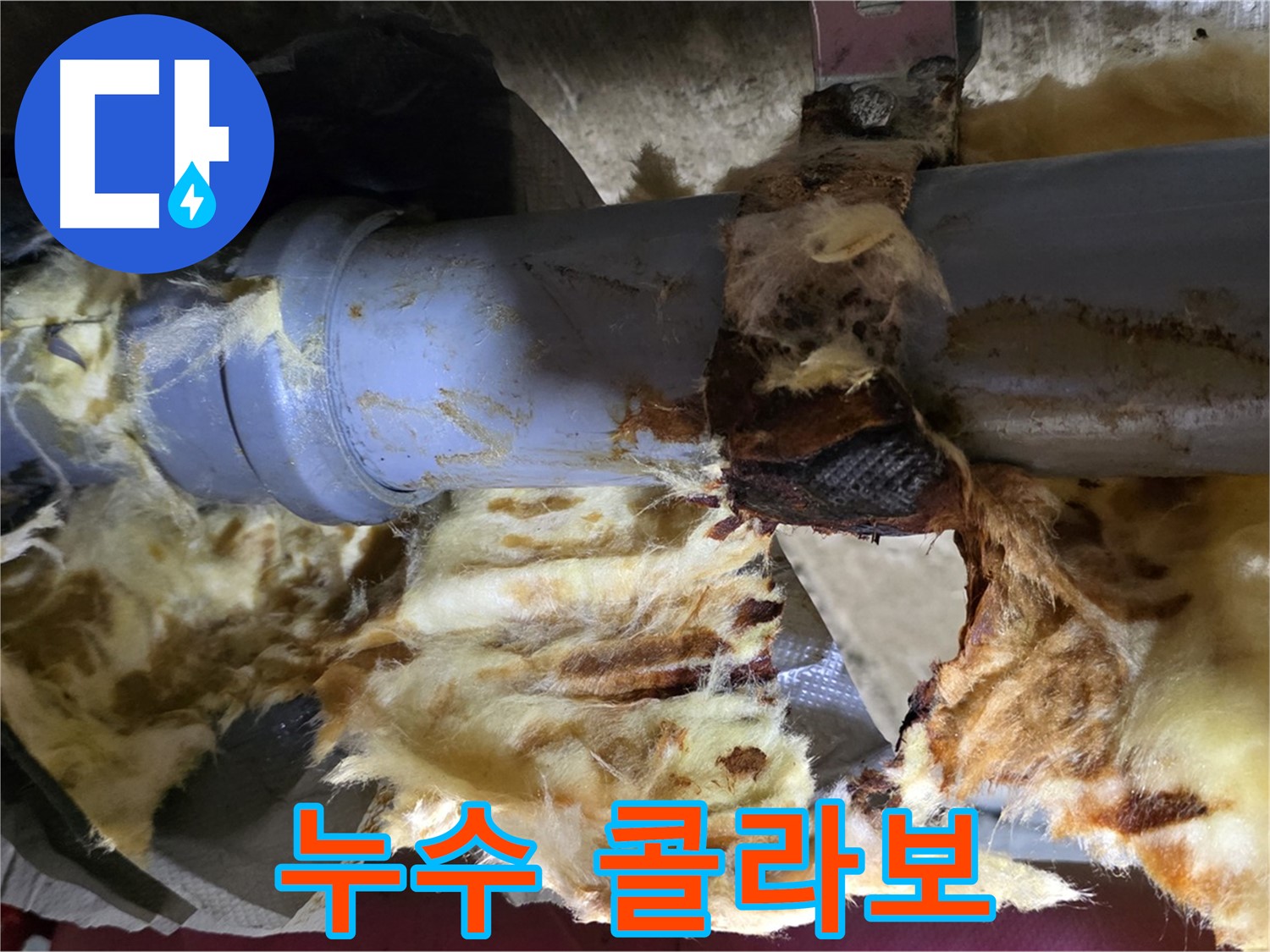 남양주 화도읍 두산아파트 누수 - 낡은 배관에서 누수가 발생하고 곰팡이가 피어난 절규의 콜라보레이션 현장입니다.