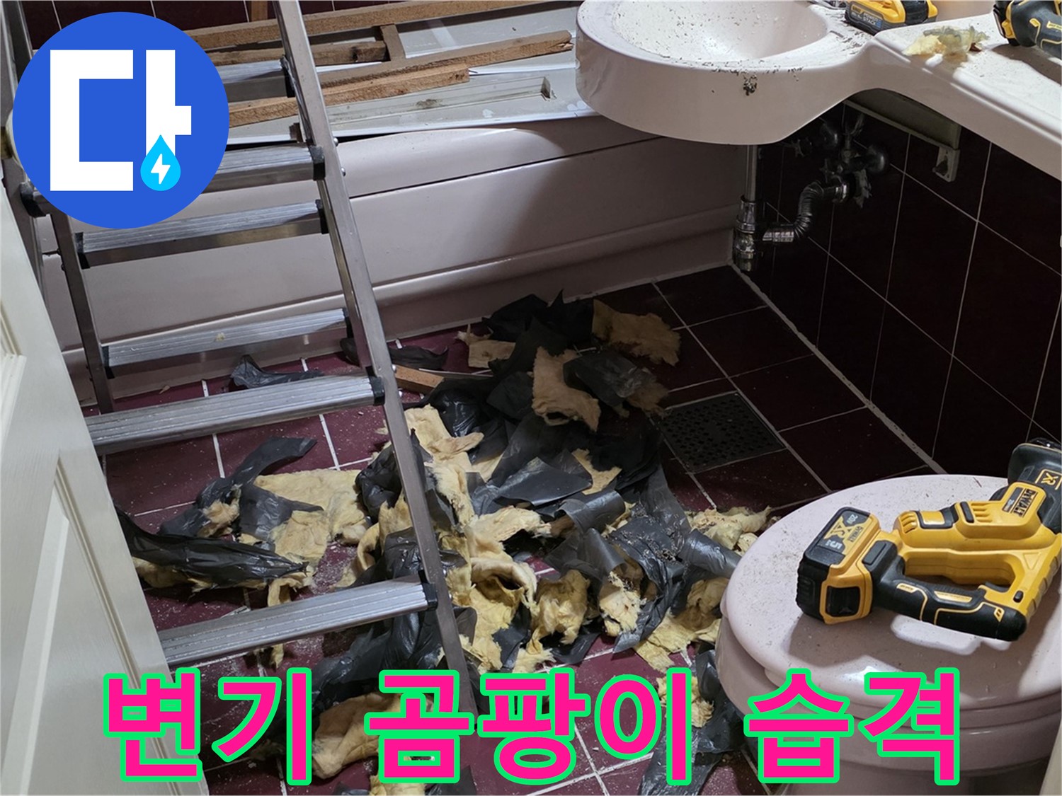 남양주 화도읍 두산아파트 욕실 변기 주변 곰팡이 습격