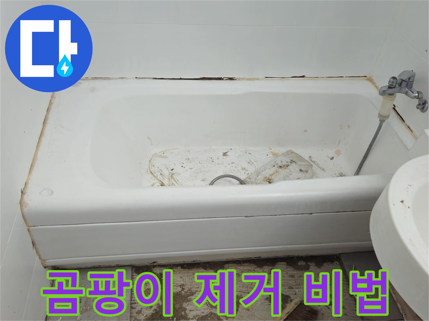 두산아파트 욕조 교체 - 30년 베테랑의 곰팡이 완벽 제거 비법