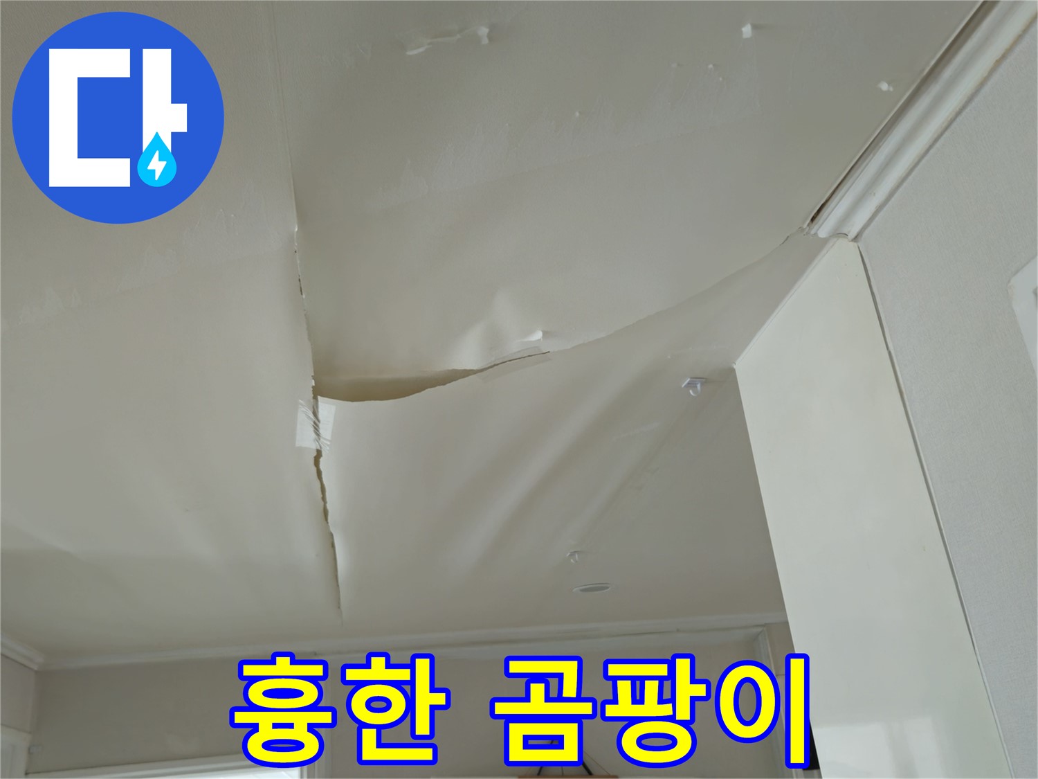 창현리 두산아파트 천장 누수 - 흉한 곰팡이, 집 이미지 망친다!