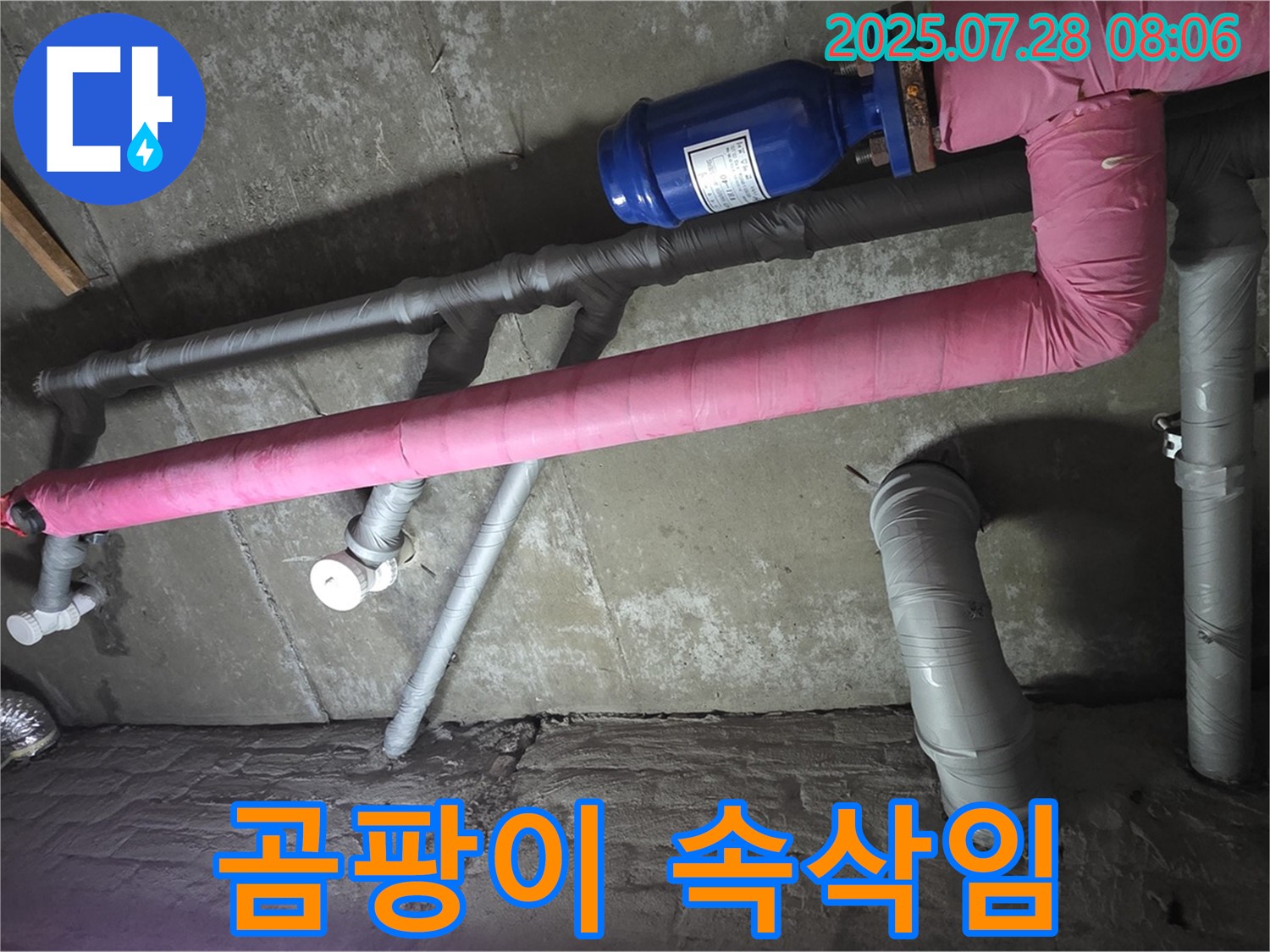 화도 두산아파트 누수 - 핑크 보온재 속 곰팡이의 은밀한 속삭임을 듣습니다.