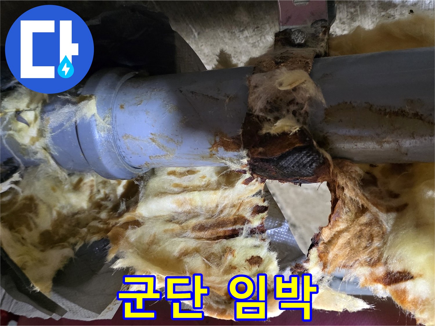 화도읍 두산아파트 누수 - 배관 연결 부위에서 누수가 발생하여 주변에 곰팡이 군단이 출현하기 직전입니다.