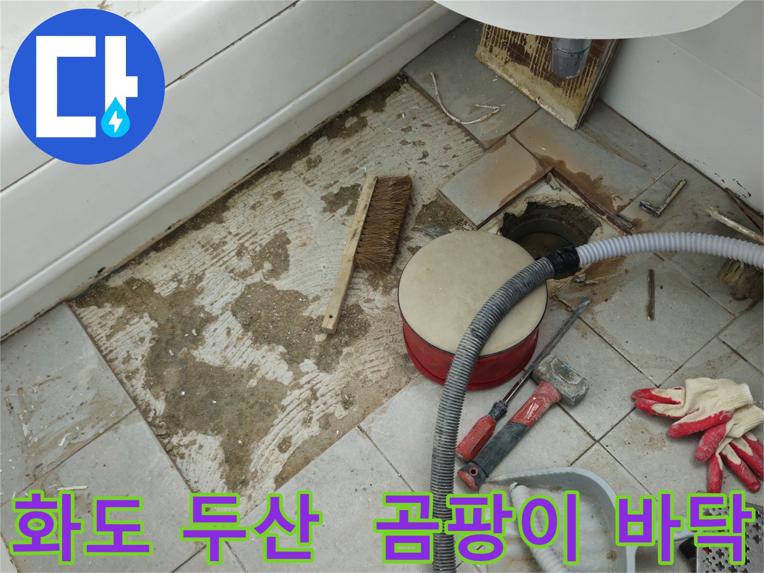 화도읍 창현리 두산아파트 욕실 누수 - 곰팡이와 습기로 얼룩진 바닥 상태