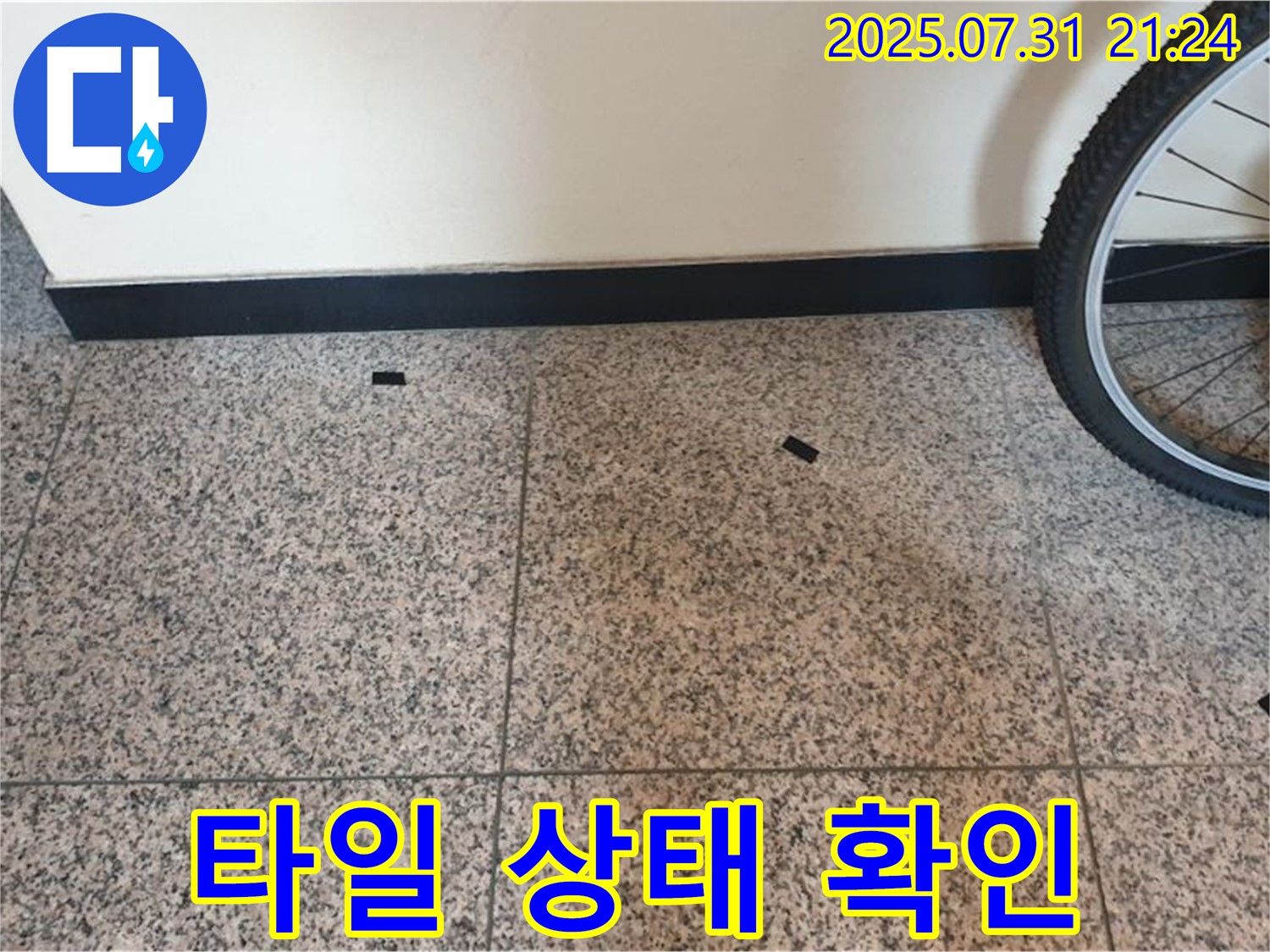 고양시 덕양구 동산동 누수 현장 - 타일의 전반적인 상태를 확인하고 있습니다.
