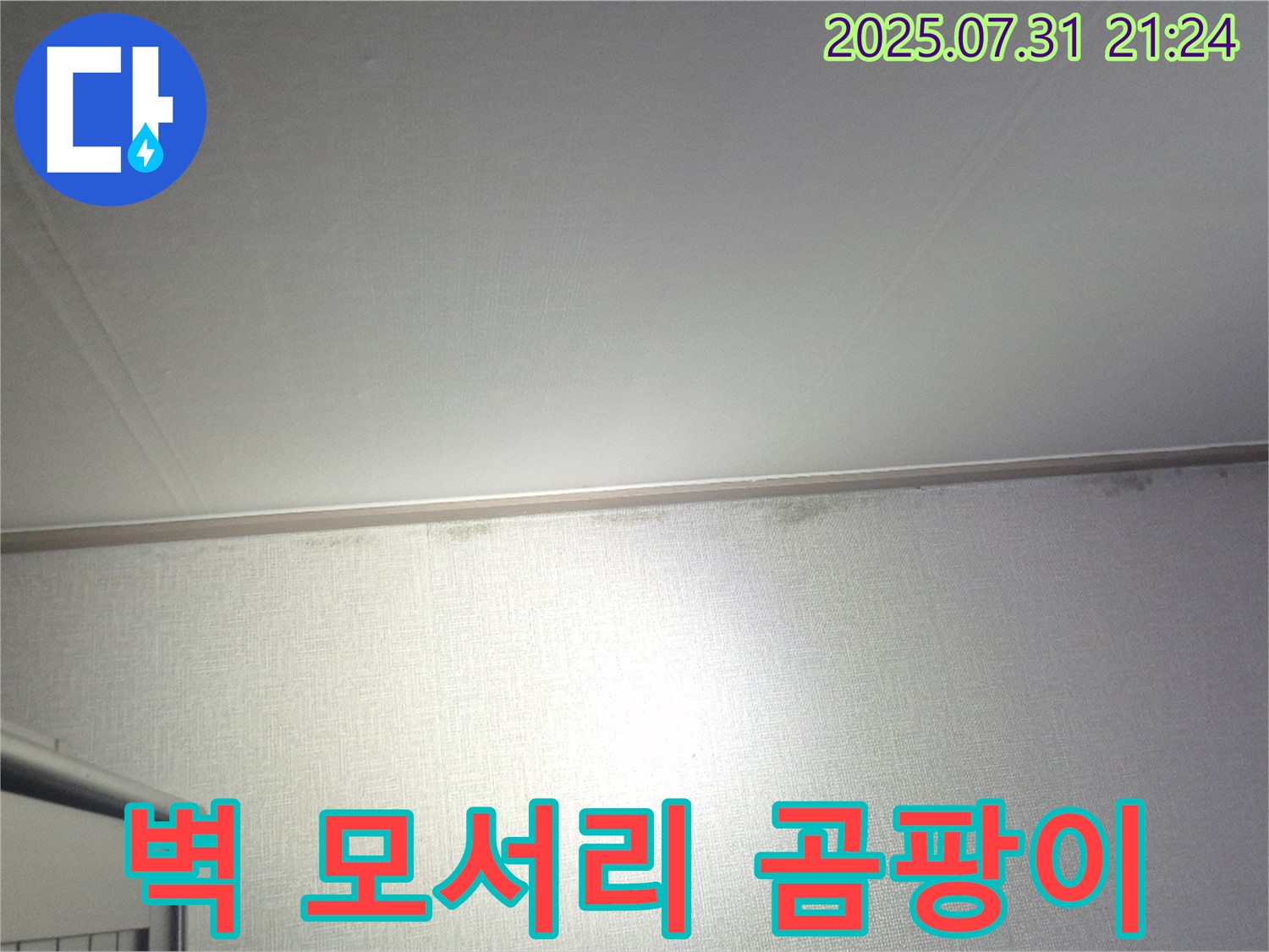고양시 덕양구 동산동 벽 모서리 곰팡이 - 초기 누수 의심 증상입니다.